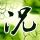  power thor megaways daftar nama slot online Mito Hollyhock mengumumkan pada tanggal 7 bahwa DF Koki Imakake (22)